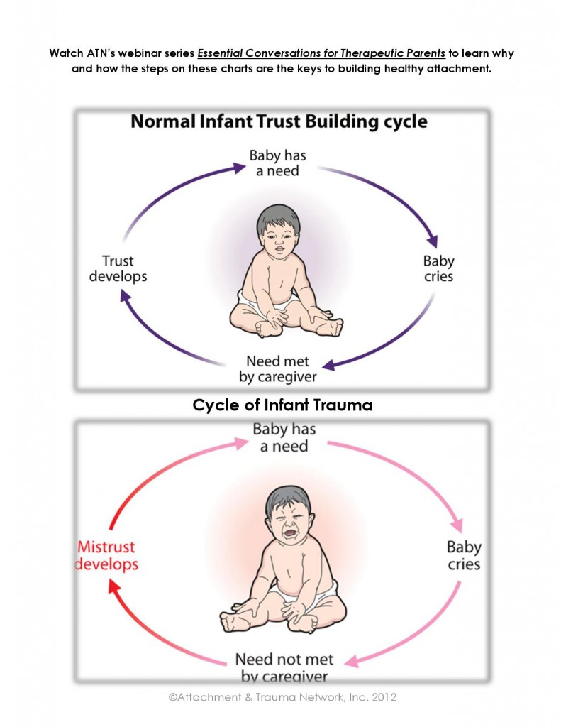 Attachment Cycle Chart